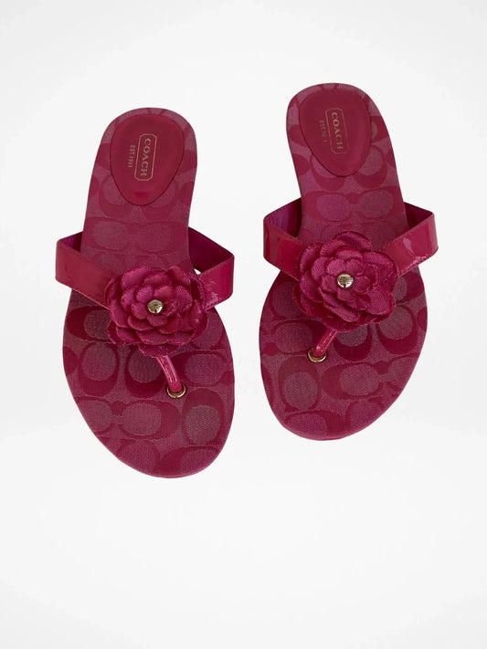 صندل كوتش سميرة الوردي بتوقيع C مزخرف بالزهور – المقاس EU 39.5