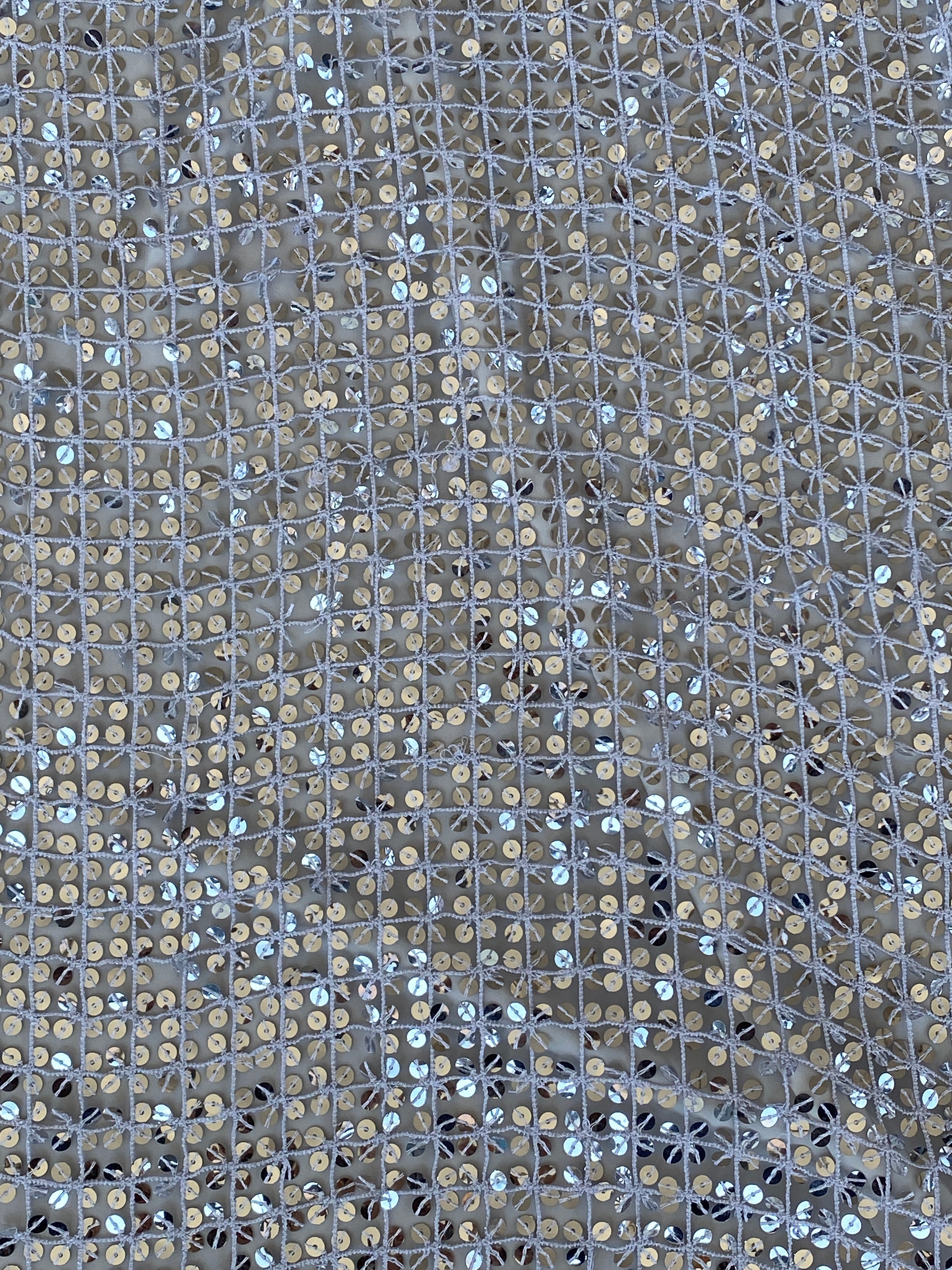 Caché Silver Sequin Mesh Evening Scarf Statement Party & Formal Accessory Metallic Wrap